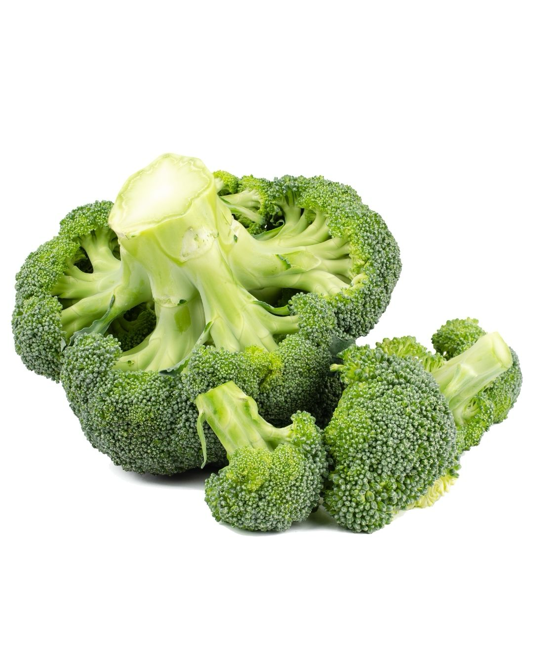Brócoli