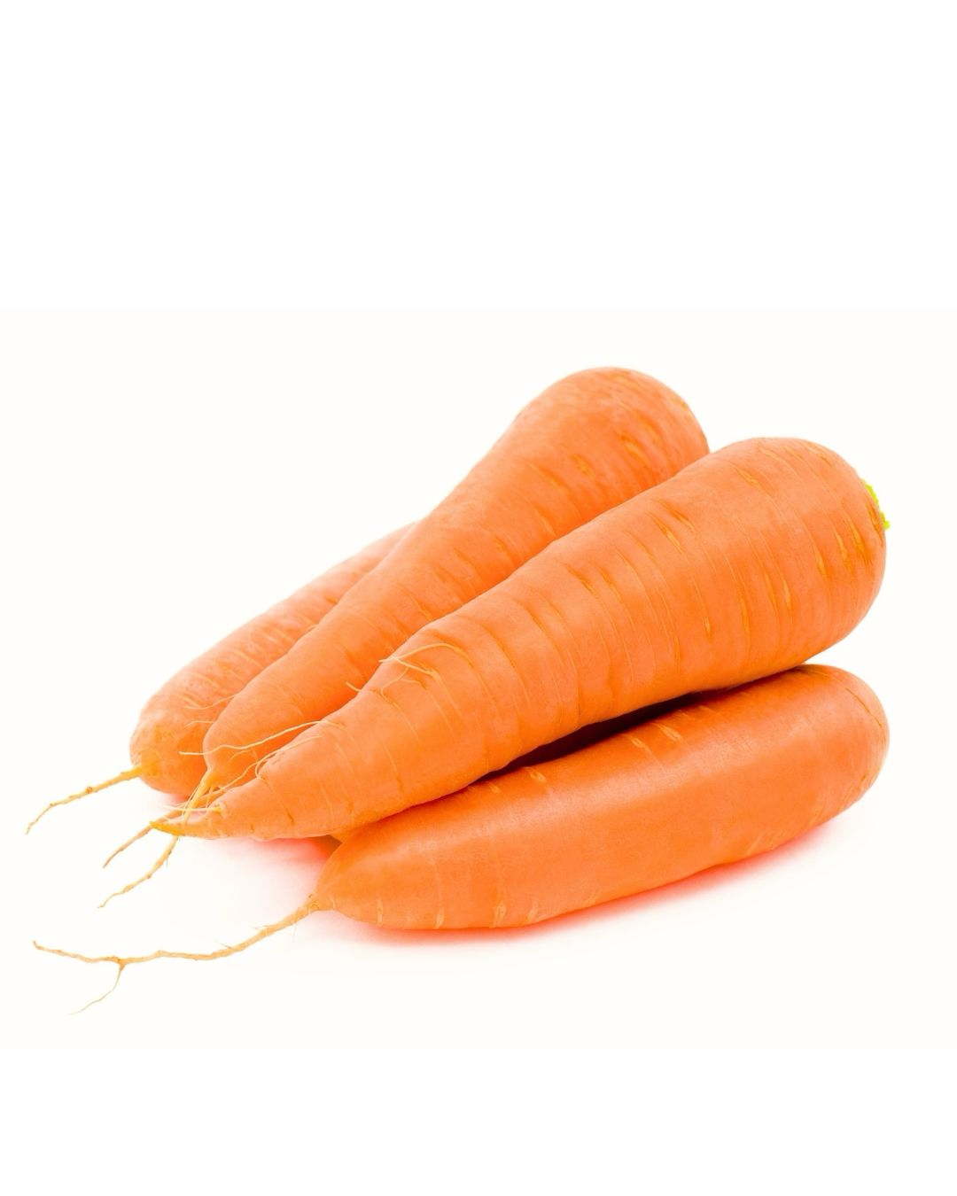 Zanahoria