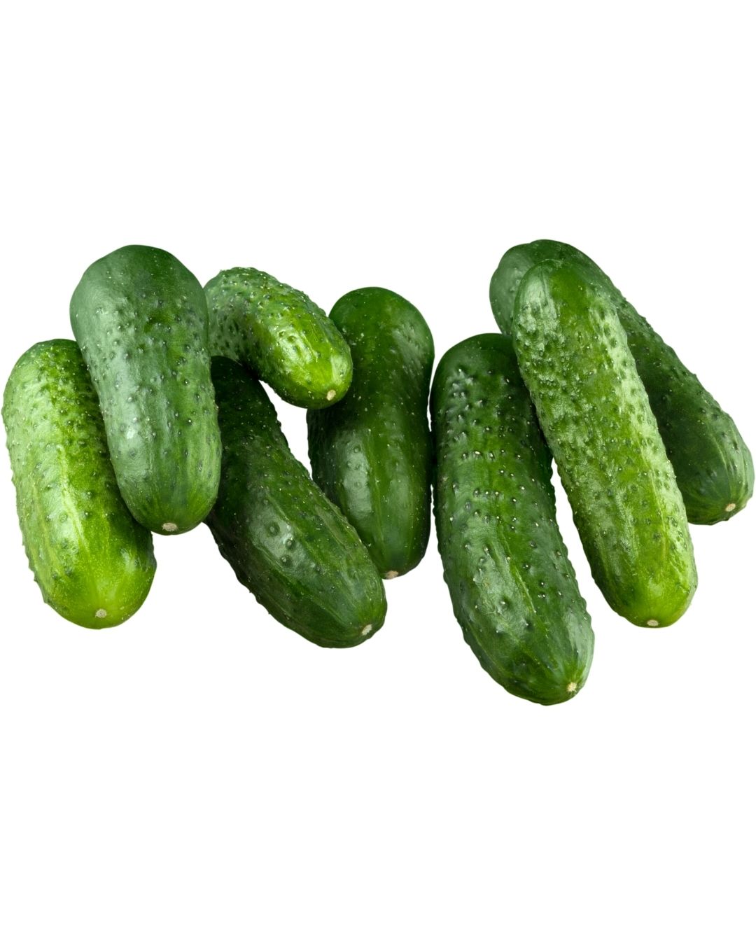 Pepino